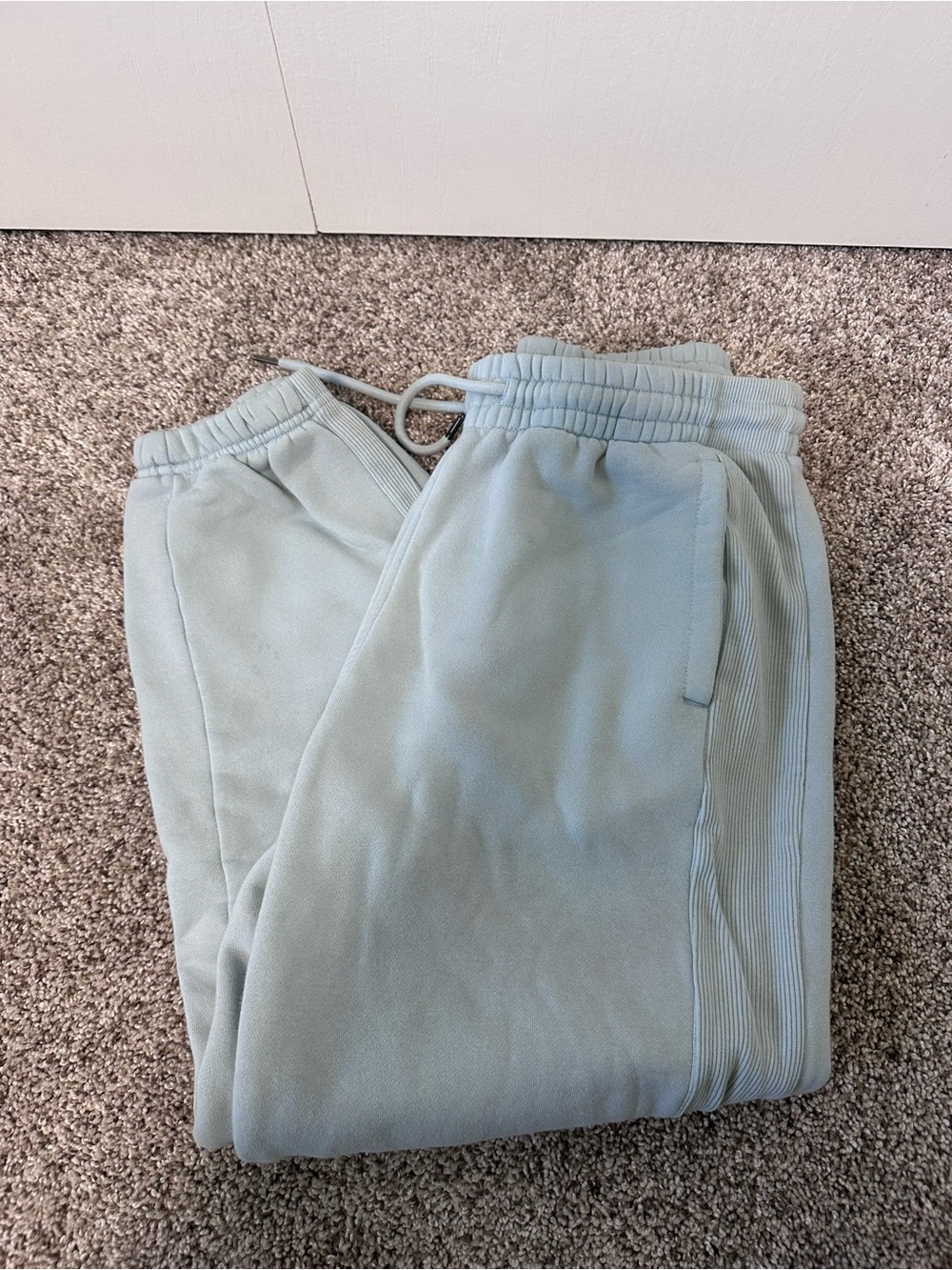 Women's Blue  Fleece Jogger Pants